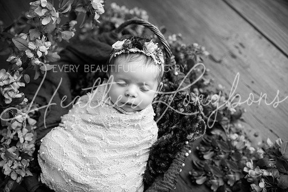 Madden Newborn-29BW