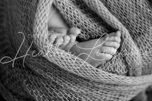 Madden Newborn-44BW