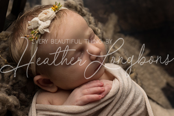 Ellaretta newborn-29