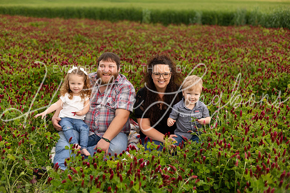 Clover Taylor family-17