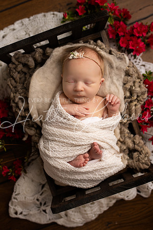 Annie newborn-22