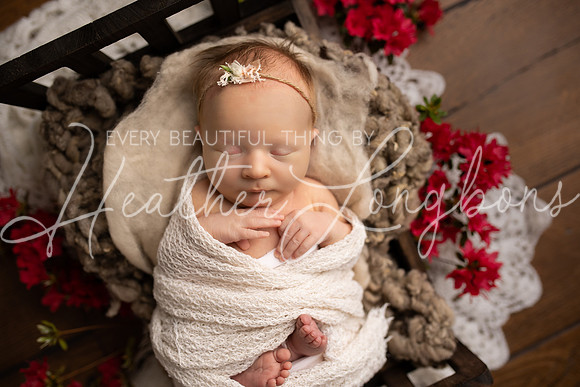 Annie newborn-23