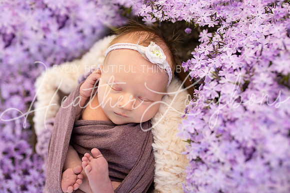 Annie newborn-24