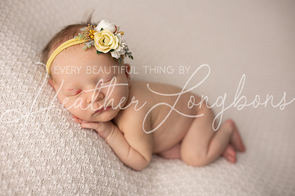 Annie newborn-29