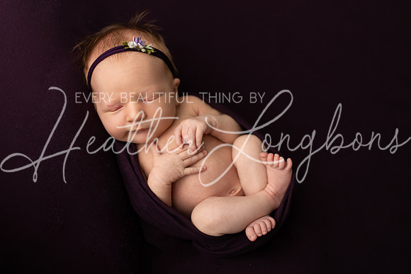 Annie newborn-34