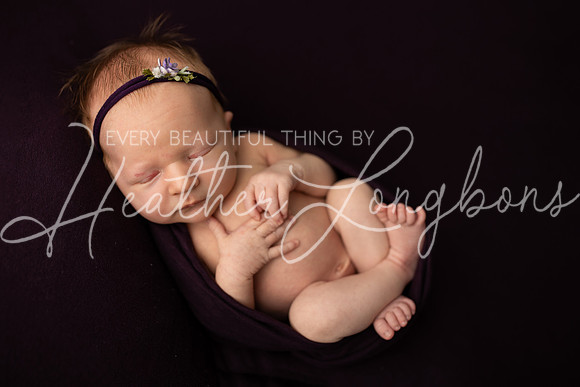Annie newborn-35