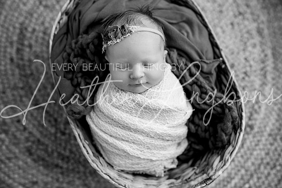 Annie newborn-12BW