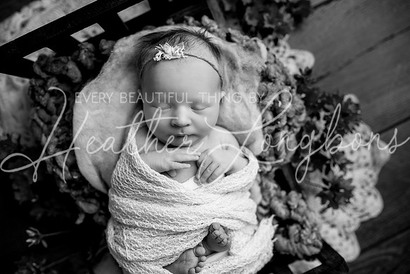Annie newborn-23BW