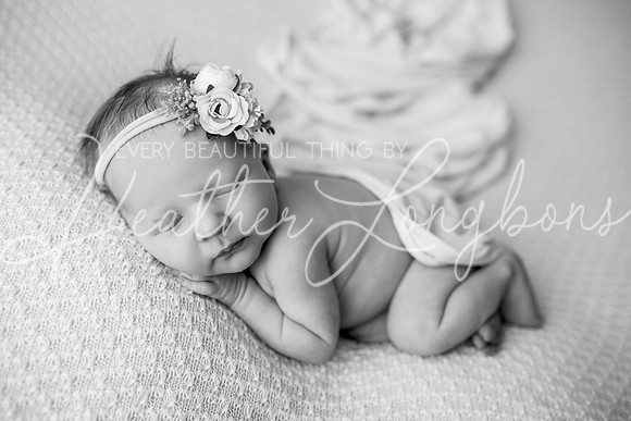 Annie newborn-30BW