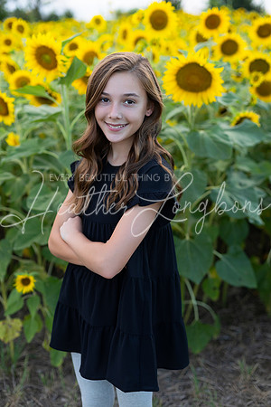 Sunflowers Kirkpatrick-4