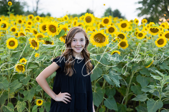 Sunflowers Kirkpatrick-1