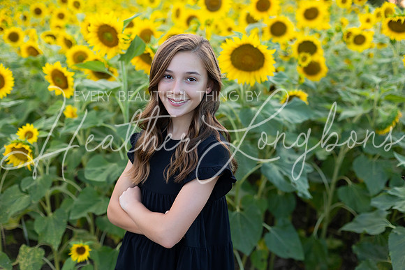 Sunflowers Kirkpatrick-3
