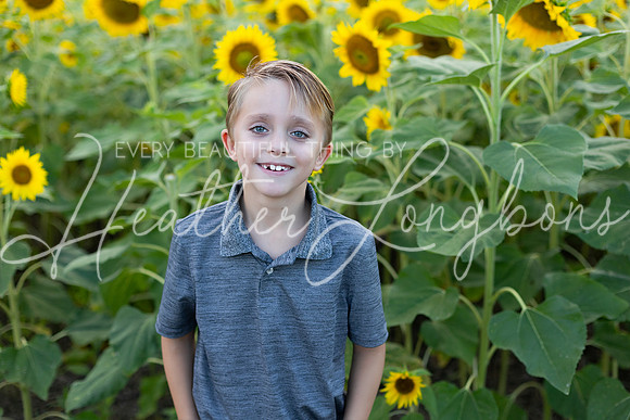Sunflowers Kirkpatrick-5