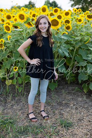 Sunflowers Kirkpatrick-2