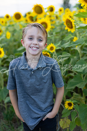Sunflowers Kirkpatrick-6