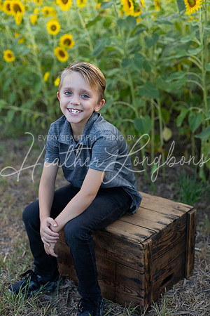 Sunflowers Kirkpatrick-8