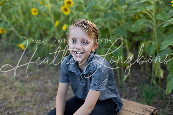 Sunflowers Kirkpatrick-9