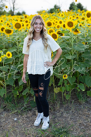 Sunflowers Kirkpatrick-10