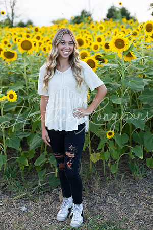 Sunflowers Kirkpatrick-11