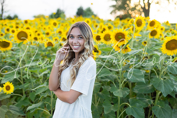 Sunflowers Kirkpatrick-13