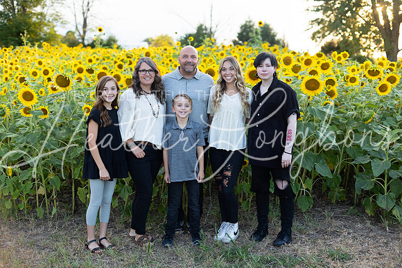 Sunflowers Kirkpatrick-15