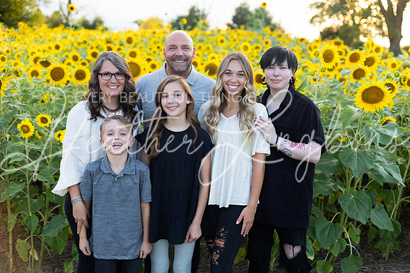 Sunflowers Kirkpatrick-16
