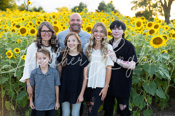 Sunflowers Kirkpatrick-17