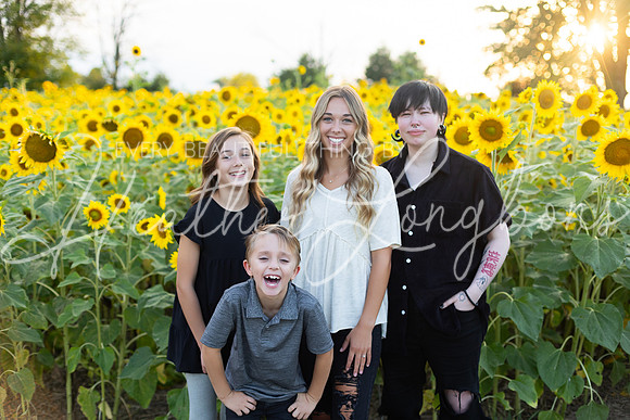 Sunflowers Kirkpatrick-20