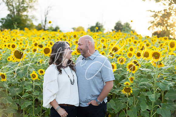 Sunflowers Kirkpatrick-23