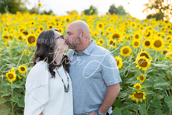 Sunflowers Kirkpatrick-24