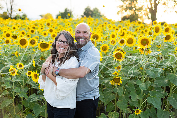 Sunflowers Kirkpatrick-26