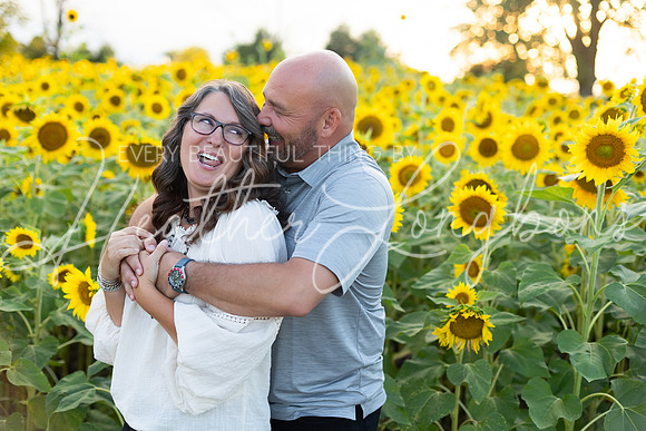 Sunflowers Kirkpatrick-27