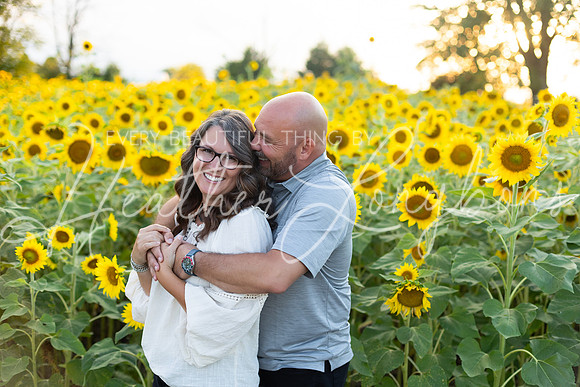 Sunflowers Kirkpatrick-28