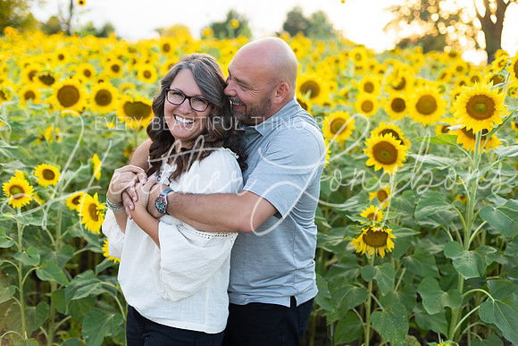 Sunflowers Kirkpatrick-29