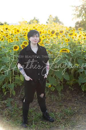 Sunflowers Kirkpatrick-31