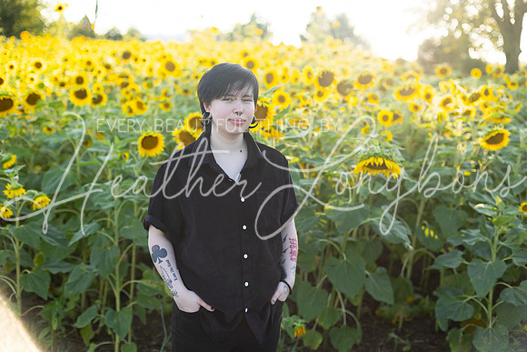 Sunflowers Kirkpatrick-32