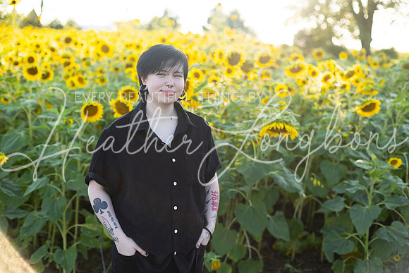 Sunflowers Kirkpatrick-33