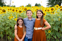 Sunflowers Monica McDaniel-4