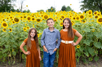Sunflowers Monica McDaniel-2