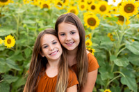 Sunflowers Monica McDaniel-7