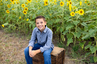Sunflowers Monica McDaniel-10