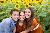Sunflowers Monica McDaniel-9