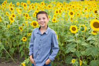 Sunflowers Monica McDaniel-12