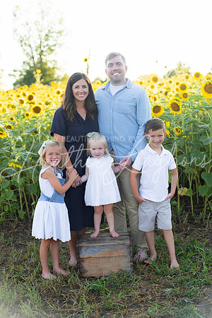 Sunflowers Harris-2