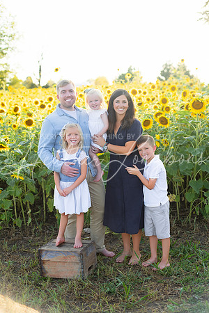 Sunflowers Harris-5