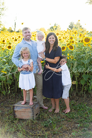 Sunflowers Harris-4