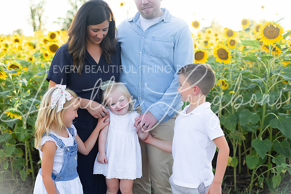 Sunflowers Harris-3