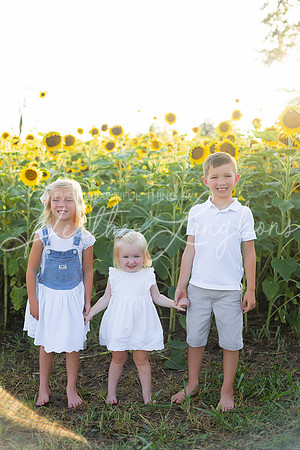 Sunflowers Harris-10