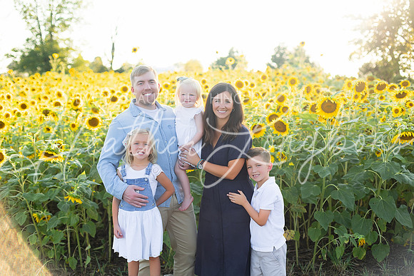 Sunflowers Harris-7