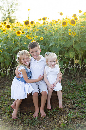 Sunflowers Harris-11